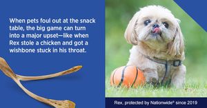 Image post by @company/nationwidepet on LinkedIn