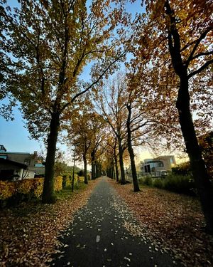 Image post by @omerdurna07 on Instagram