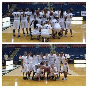 Image post by @gobonnies on Instagram