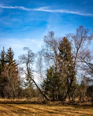 Image post by @cristan.nature.photography on Instagram