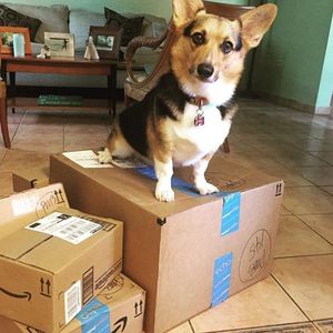 Image post by @amazon on Instagram