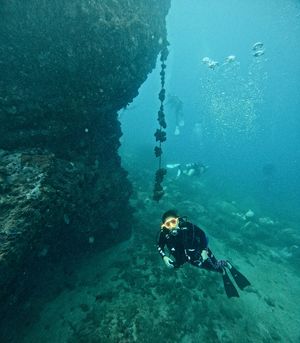 Image post by @lionfishscuba on Instagram