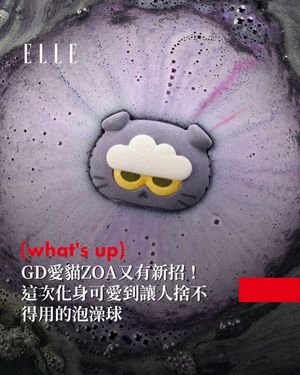 Image post by @elletaiwan on Instagram