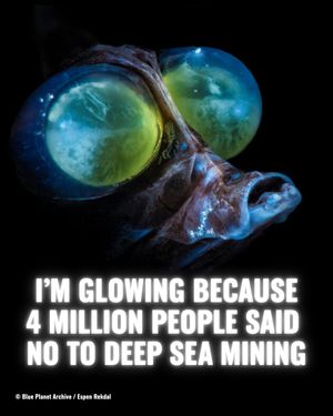 Image post by @greenpeace on Instagram