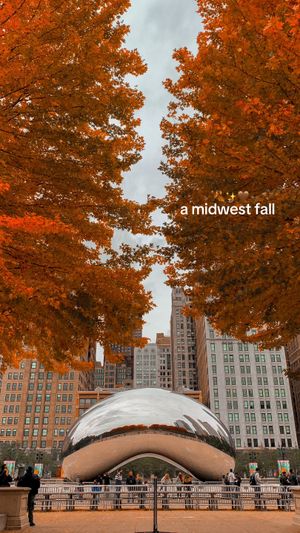 Video post by @explorechicago on TikTok
