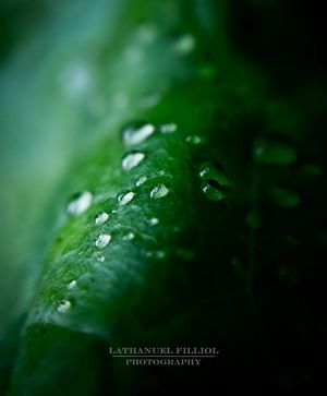 Image post by @lathanuelf_photos on Instagram
