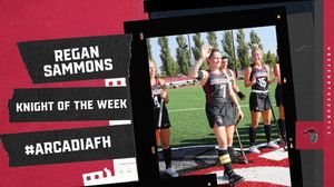 Image post by @arcadia_knights on Instagram