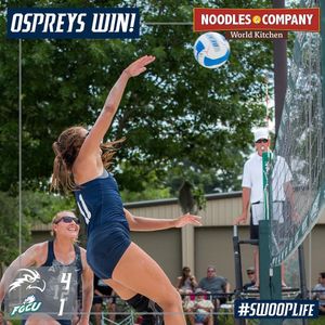 Image post by @unfospreys on Instagram