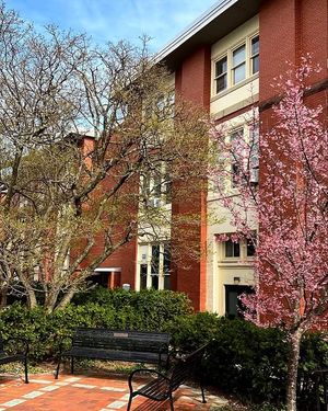Image post by @pennstate on Instagram