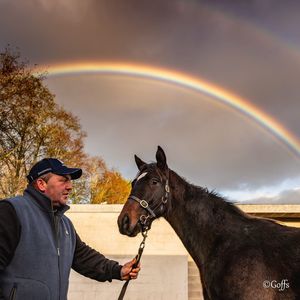 Image post by @thoroughbred_daily_news on Instagram