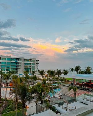 Image post by @visitsarasotacounty on Instagram