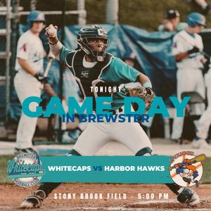 Image post by @brewsterwhitecaps on Instagram