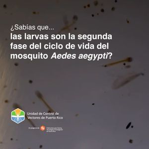 Image post by @PRVectorControl on Facebook