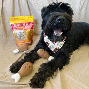 Image post by @charlee_bear_dogtreats on Instagram
