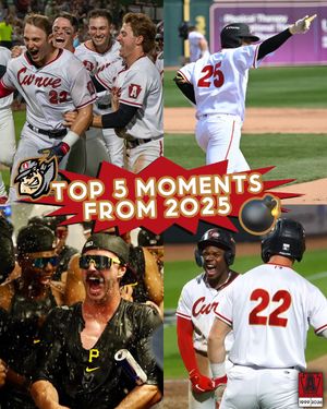 Image post by @altoonacurve on Instagram