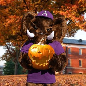 Image post by @amherststudentaffairs on Instagram
