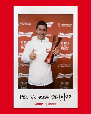 Image post by @fifaworldcup on Instagram