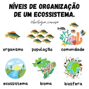 Image post by @operitoambiental on Instagram
