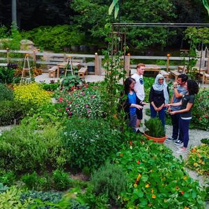 Image post by @pennstate on Instagram