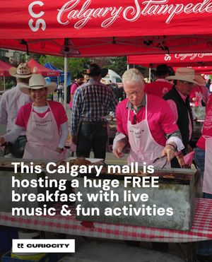 Image post by @curiocitycalgary on Instagram