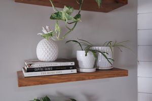 Image post by @danigoinhamm on Instagram