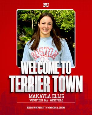 Image post by @terrierswimdive on Instagram