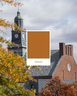 Image post by @uofcincyalumni on Instagram