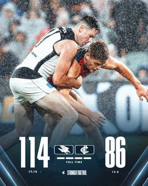 Image post by @carlton_fc on Instagram