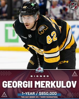 Image post by @puckreportnhl on Instagram