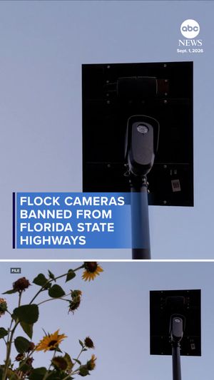 Video post by @abcnewslive on TikTok