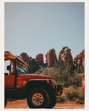 Image post by @beltzcreative on Instagram