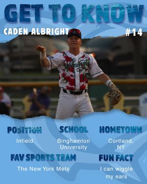 Image post by @ilmsharks on Instagram