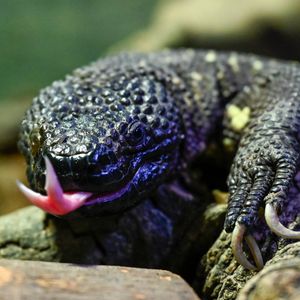 Image post by @discovery on Instagram