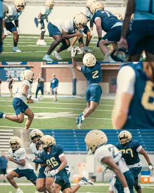 Image post by @zipsfb on Instagram