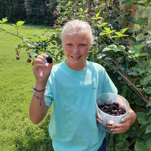 Image post by @kidsgardening on Instagram