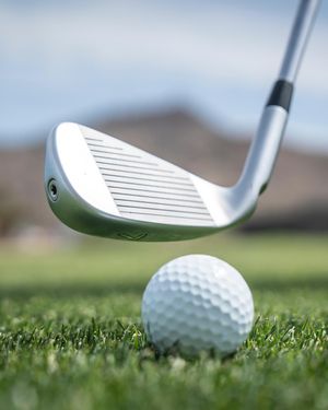 Image post by @pingtour on Instagram