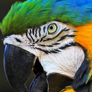 Image post by @discovery on Instagram