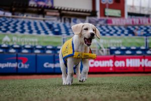 Image post by @bluewahoosbball on Instagram