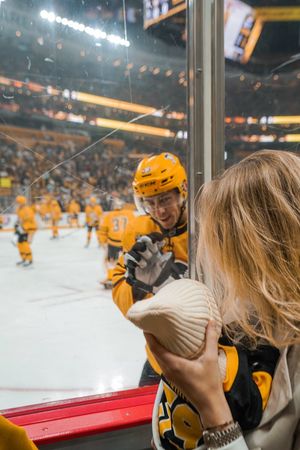 Image post by @penguins on Twitter