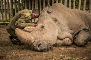 Image post by @natgeo on Instagram