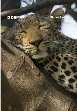 Video post by @bbcearth on TikTok