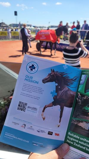 Image post by @nzhorseambulancetrust on Facebook