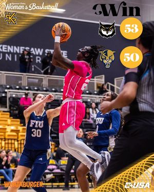 Image post by @ksuowlswbb on Instagram
