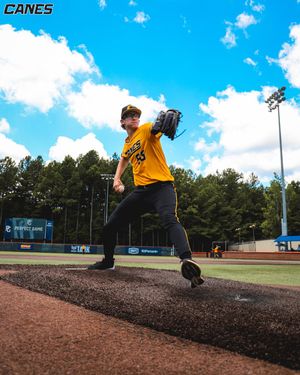 Image post by @thecanesbb on Instagram