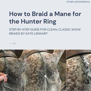 Image post by @theplaidhorsemag on Instagram