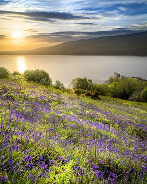 Image post by @visitscotland on Instagram