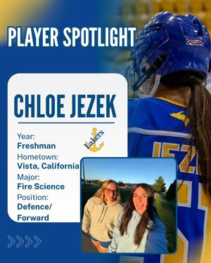 Image post by @lakestatewomenshockey on Instagram