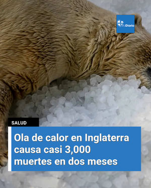 Image post by @infodiariord on Instagram