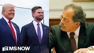 Video post by @msnbc on YouTube