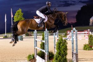 Image post by @kyhorseshows on Instagram